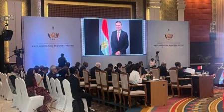 وزير
الزراعة:
أمام
مؤتمر
quot;بريكسquot;
بالهند:
نتبنى
سياسات
تعزيز
الامن
الغذائي
وتمكين
صغار
المزارعين
