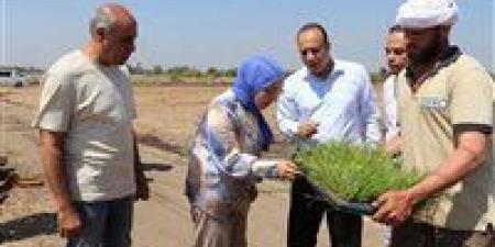 بالبلدي : جامعة
      بنها
      تبدأ
      موسم
      أبحاث
      الأرز
      لإنتاج
      أصناف
      تتحمل
      التغيرات
      المناخية
