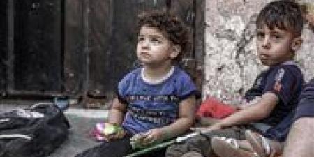 بالبلدي: حماس
تدعو
لمحاسبة
إسرائيل
بعد
تقرير
أممي
عن
جرائم
ضد
أطفال
فلسطين