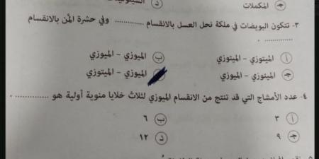 بالبلدي : لليوم
الثامن|
تداول
امتحان
أحياء
تالته
ثانوي
أزهر
2026
علمي
«صفحات
الغش»