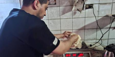 بالبلدي: حملات
      تموينية
      تحرر49
      محضرًا
      لمخابز
      بطنطا
      وسمنود
      والسنطة
      وزفتى
      وبسيون