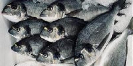 بالبلدي: أسعار
      السمك
      اليوم
      الجمعة
      3
      -
      7
      -
      2026