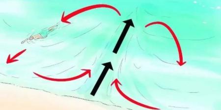 الأرصاد
      تحذر
      المصطافين
      من
      ”تيار
      السحب”..
      قاتل
      مجهول
      وراء
      حالات
      الغرق
      وطرق
      النجاة
      منه