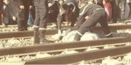 بالبلدي : مصرع
شخصين
أسفل
عجلات
قطار
بسوهاج
أثناء
عبورهما
من
مكان
غير
مخصص
للمشاة