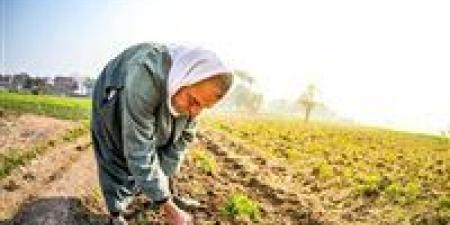 بالبلدي: المواطن
      يدفع
      الثمن..
      سر
      ارتفاع
      الصادرات
      الزراعية
      على
      حساب
      السوق
      المحلية
      وغلاء
      الأسعار
      داخليا