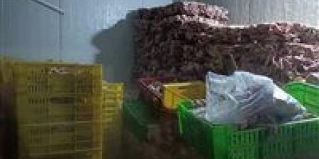 بالبلدي: ضبط
42
طنًا
أغذية
فاسدة
ومنشأة
تعيد
تدوير
مخلفات
الفراخ
في
تصنيع
منتجات
غذائية
بالجيزة