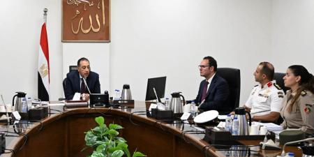 بالبلدي: مصر.. خطة للحد من ظاهرة "الكلاب الضالة"