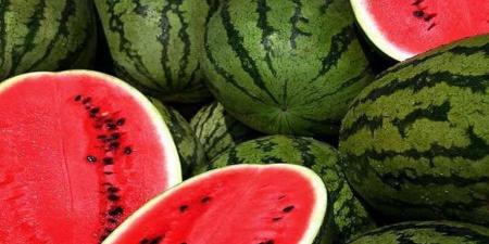 بالبلدي : حساسية البطيخ..الأسباب والأعراض وكيفية العلاج