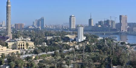 بالبلدي: مصر.. عامل يقتل مدير مدرسة بسلاح أبيض والداخلية تكشف تفاصيل