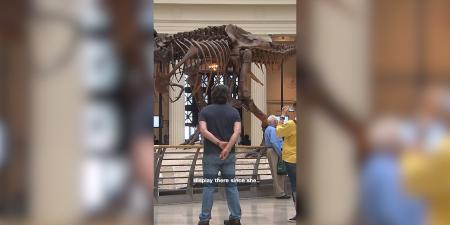 بالبلدي: قابلوا "سو".. هيكل ديناصور "تي ركس" اكتُشف قبل 36 عامًا