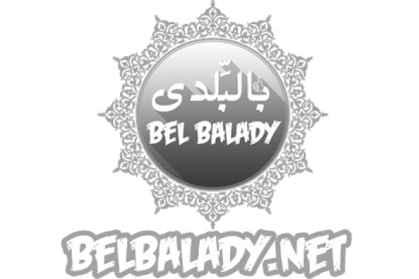 الوطن | المحافظات | تنظيم قافلة للكشف المبكر عن سرطان الثدي بـ"ميت أبو غالب" في دمياط بالبلدي | BeLBaLaDy