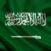 السعودية تدين استهداف المدنيين العزل شمال غزة وتطالب بموقفٍ حازم تجاه إسرائيل بالبلدي | BeLBaLaDy