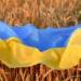بالبلدي: فرنسا وبولندا تدعوان إلى تشديد القيود على واردات الحبوب من أوكرانيا
