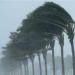بالبلدي: أهم الأدعية وقت العواصف | «الإفتاء» توضح