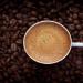 بالبلدي: ارتفاعات قادمة في أسعار القهوة بـ السوق العالمي