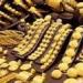 بالبلدي : أسعار الذهب في مصر اليوم السبت بمستهل التعاملات