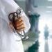 بالبلدي : الحكم على طبيب تجميل بتهمة الاعتداء على فتاة في أكتوبر اليوم