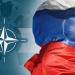 بالبلدي: الناتو: الغزو الروسي لدولة مجاورة للحلف أمر غير مرجح belbalady.net