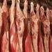 بالبلدي: سعر اللحوم في السوق المصري اليوم الاثنين 6 - 5 – 2024