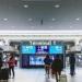 بالبلدي : سابع أكثر المطارات ازدحامًا في اليابان.. مطار يحتفل بمرور 30 عاما بدون فقد قطعة أمتعة واحدة