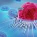 بالبلدي : اكتشاف طريقة جديدة لموت الخلايا السرطانية من العلاج الكيميائي