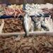 بالبلدي: أسعار السمك اليوم الأحد 26 - 5 – 2024 في السوق المصري