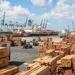 بالبلدي : ميناء دمياط يستقبل أطنانًا من السكر والقمح والأبلاكاش