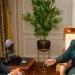 بالبلدي : وزيرة الهجرة تستقبل السفير الإيطالي لدى مصر لبحث التعاون في ملفات مشتركة