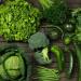 بالبلدي : من الخضراوات الورقية إلى الحبوب الكاملة.. أطعمة تساعد في تعزيز الخصوبة