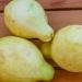 بالبلدي : إدارة الوزن وتخفيف التوتر.. ما هي الفوائد الصحية لأوراق الجوافة؟