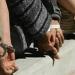 بالبلدي: حبس بؤرة إجرامية يديرها 5 عاطلين لترويج المخدرات بشبرا الخيمة 