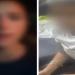 كشف
      حقيقة
      مقطع
      فيديو
      تم
      تداوله
      بمواقع
      التواصل
      الاجتماعي
      تضمن
      إدعاء
      إحدى
      الفتيات
      بقيام
      شخصين
      بقطع
      الطريق