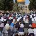 بالبلدي: 45
      ألفا
      يؤدون
      صلاة
      الجمعة
      في
      المسجد
      الأقصى
