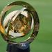 بالبلدي: إليك الأندية المتأهلة لدور الـ16 في كأس العالم 2025