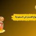 بالبلدي: أفضل
      أنواع
      العسل
      في
      السعودية..
      كيف
      تختار
      النوع
      المناسب
      لك؟