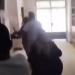 بالبلدي: واقعة
      مدرسة
      حلمية
      الزيتون|
      أولياء
      أمور
      يحاولون
      التعدي
      على
      مراقبة
      ثانوية
      عامة..
      و«التعليم»
      تحقق