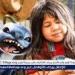 بالبلدي: من
      شواطئ
      هونولولو
      إلى
      صدارة
      البوكس
      أوفيس..
      "Live
      Action
      Lilo
      &
      Stitch"
      يُحلّق
      بإيرادات
      تقترب
      من
      المليار
      دولار