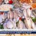 بالبلدي: أسعار
      السمك
      البلطي
      والبوري
      اليوم
      السبت
      5-7-2025
      في
      محافظة
      قنا