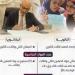 بالبلدي: هتختار
      ايه؟..
      الفرق
      بين
      الثانوية
      العامة
      والبكالوريا
      المصرية