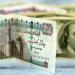 بالبلدي: الدولار
      يكسر
      حاجز
      الـ
      50
      جنيهًا
      لأول
      مرة
      في
      مصر
      منذ
      أشهر
