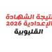 بالبلدي: بالاسم
ورقم
الجلوس..
نتيجة
الشهادة
الإعدادية
بالقليوبية
فور
اعتمادها
من
المحافظ