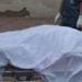 بالبلدي: مصرع
      شاب
      غرقًا
      بعد
      سقوط
      تروسيكل
      في
      نهر
      النيل
      إثر
      تصادم
      بالبدرشين