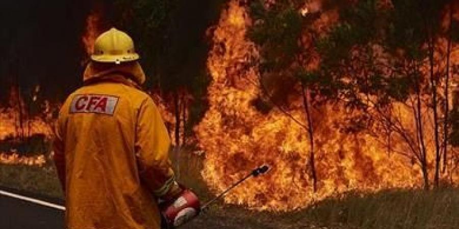 الحماية المدنية الجزائرية: إخماد 41 حريقا في 9 ولايات خلال 24 ساعة بالبلدي | BeLBaLaDy
