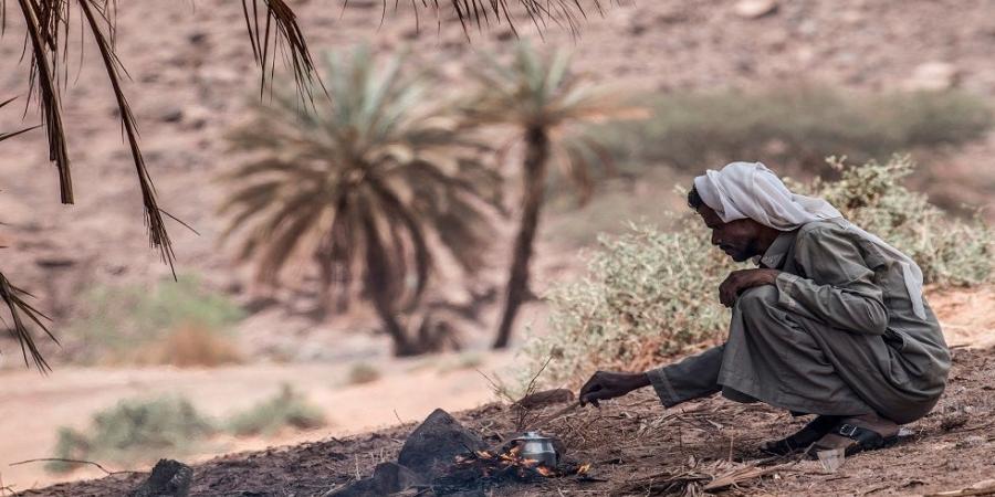 مصر.. "البيئة" تحقق بأسباب حريق في محمية بأسوان بالبلدي | BeLBaLaDy