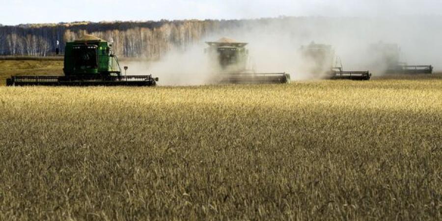 بالبلدي: الفاو:
      الحبوب
      العالقة
      في
      موانئ
      أوكرانيا
      لا
      تشكل
      سوى
      0.2%
      من
      إجمالي
      الإنتاج
      العالمي