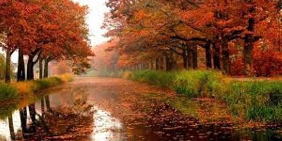 بالبلدي: اليوم..
      يبدأ
      فصل
      الخريف
      ويستمر
      89
      يومًا
      و20
      ساعة
      و44
      دقيقة