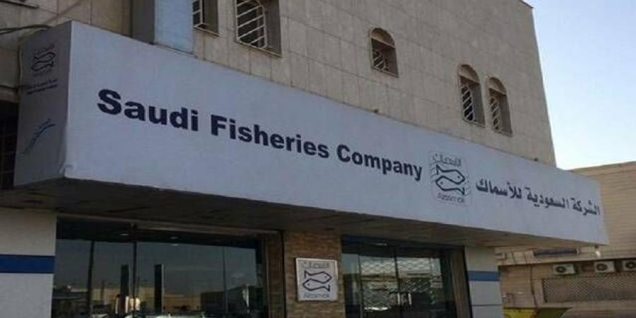 السعودية للأسماك توقع اتفاقية توريد منتجات مع شركة عمانية لمدة 3 سنوات بالبلدي | BeLBaLaDy