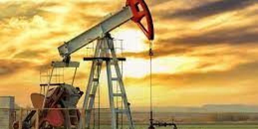 بالبلدي: وزارة النفط العراقية تحترم اتفاق أوبك+ ونريد رفع العائد المالي للنفط