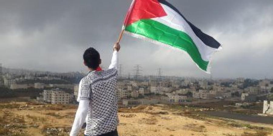بالبلدي: ملايين الرسائل لإيلون ماسك.. السوشيال ميديا تطالب بإنترنت ستارلينك لغزة