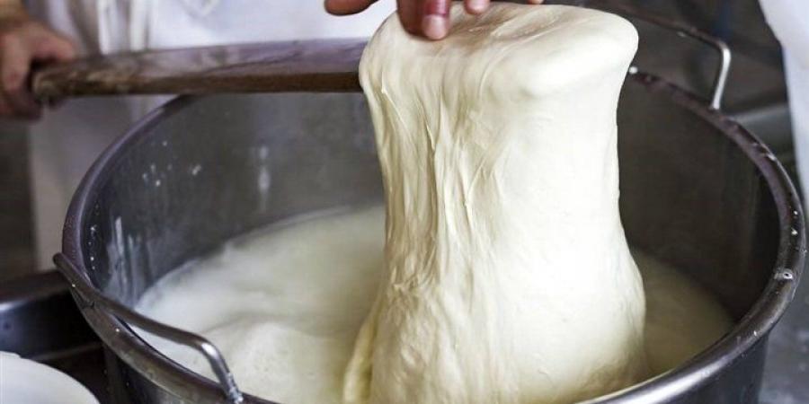بالبلدي : طريقة عمل الجبنة الموزاريلا في البيت بالصور.. 3 أسرار عن الوصفة